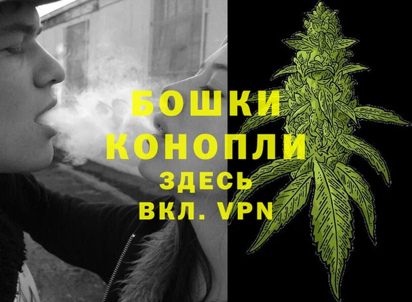 дживик Богданович