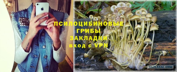 героин Богородицк