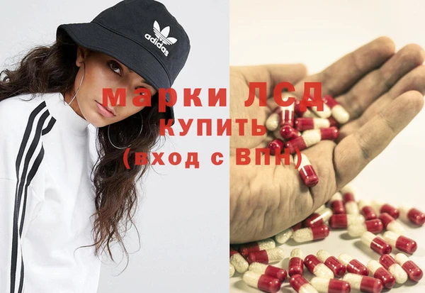 дживик Богданович
