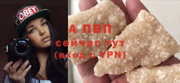 дживик Богданович