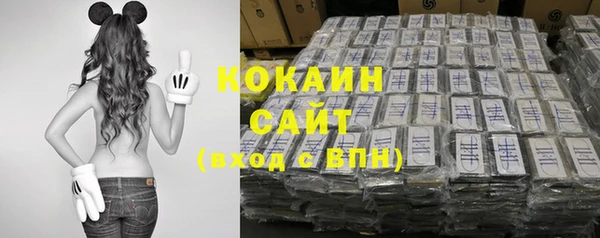 дживик Богданович