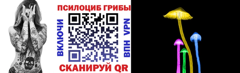 Псилоцибиновые грибы GOLDEN TEACHER  наркотики  Великий Новгород 